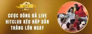 Cược Bóng Đá Live Hitclub