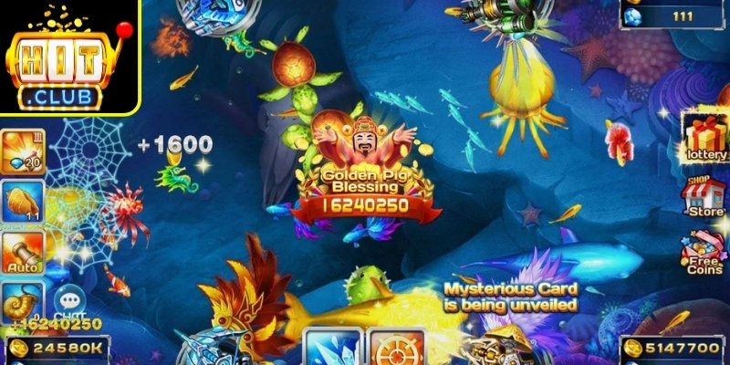 Bắn Cá Pháo Thủ Hitclub Và Bí Quyết Săn Thưởng Hiệu Quả 2 Chu kỳ bàn và cửa sổ thưởng